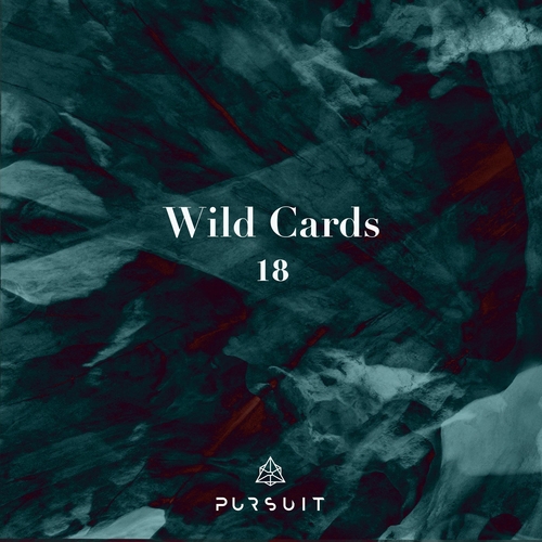 VA - Wild Cards 18 [PRST084]